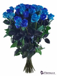 Kytice růží - 35 modrých růží