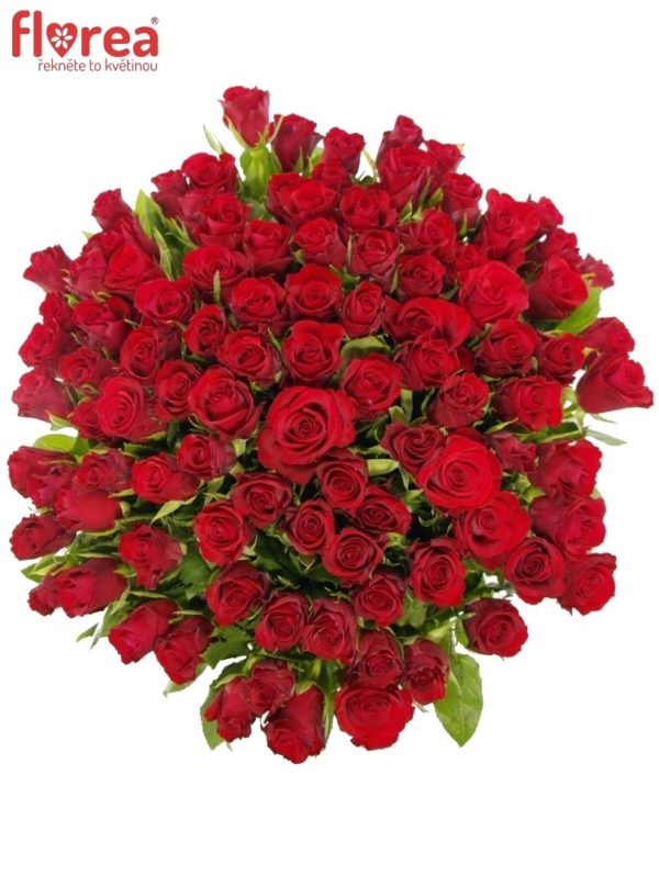 Kytice - Kytice 100 červených růží RED CALYPSO 50cm