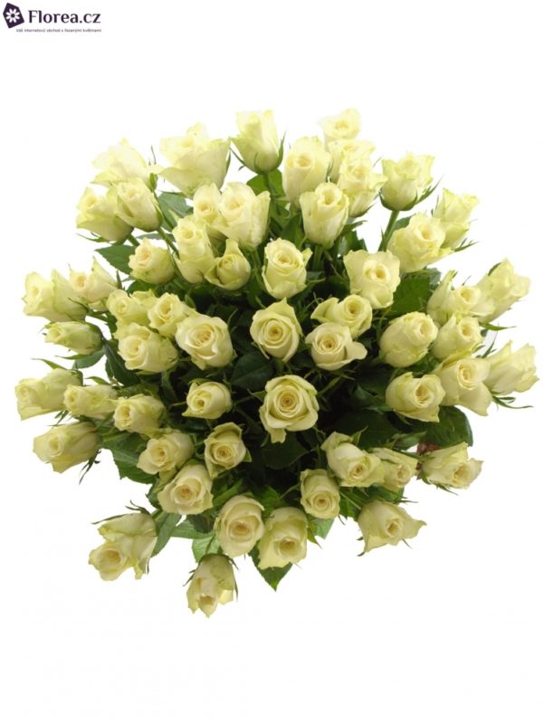 Kytice - Kytice 55 bílých růží ATHENA 40cm