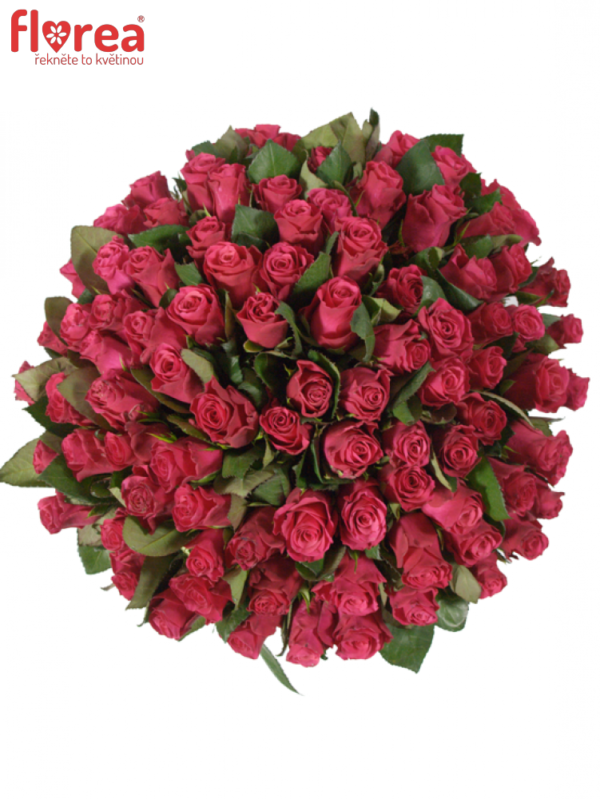 Kytice - Kytice 100 malinových růží GRAND EUROPE 60cm