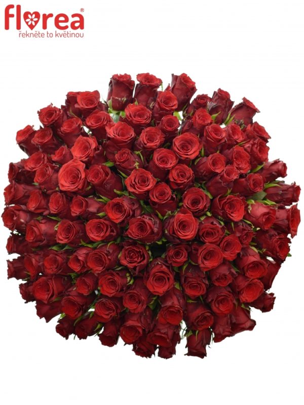 Kytice - Kytice 100 rudých růží INCREDIBLE 50cm