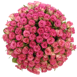 Kytice - Kytice 100 růží ENSEMBLE 60cm
