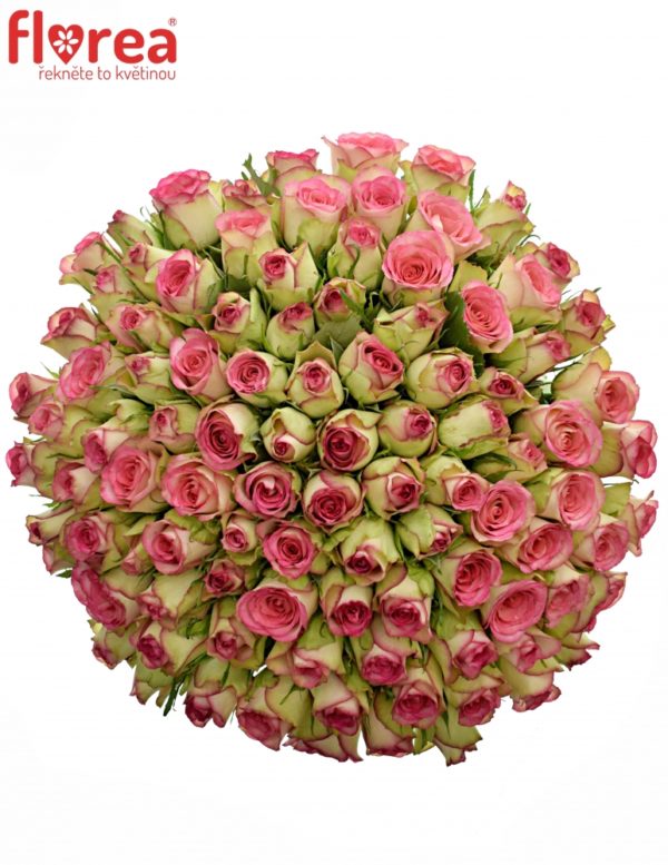 Kytice - Kytice 100 žíhaných růží GLOW 50cm