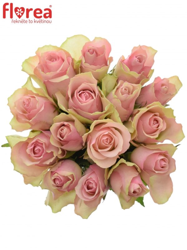 Kytice - Kytice 15 růžových růží BELLE ROSE 50cm