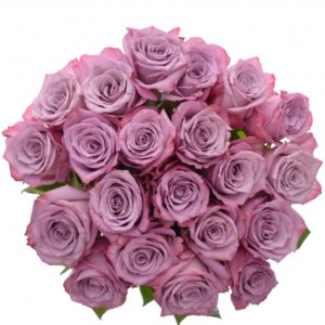 Kytice - Kytice 21 fialových růží MOODY BLUES 60cm
