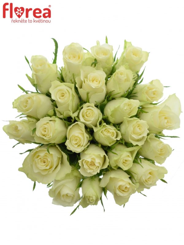 Kytice - Kytice 25 bílých růží ATHENA 40cm