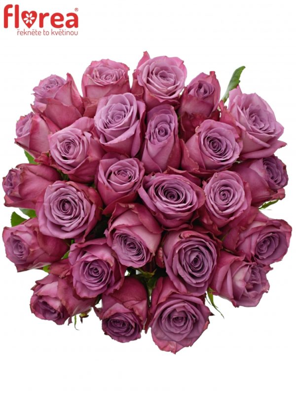 Kytice - Kytice 25 fialových růží MOODY BLUES 60cm