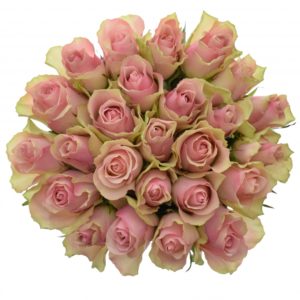 Kytice - Kytice 25 růžových růží BELLE ROSE 50cm