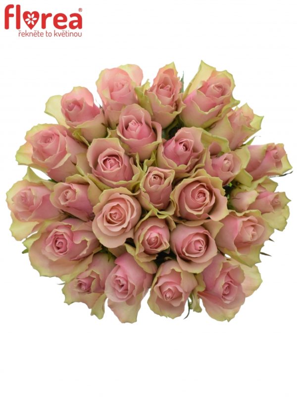 Kytice - Kytice 25 růžových růží BELLE ROSE 50cm