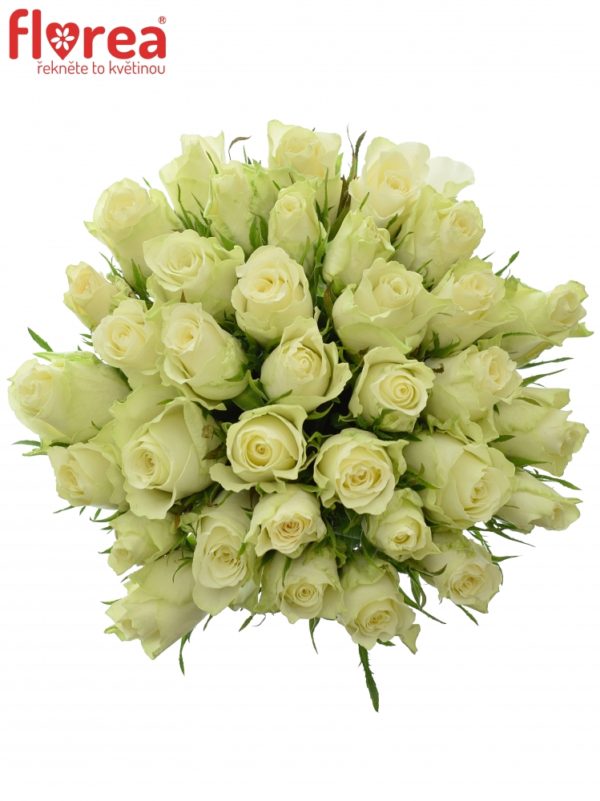 Kytice - Kytice 35 bílých růží ATHENA 40cm