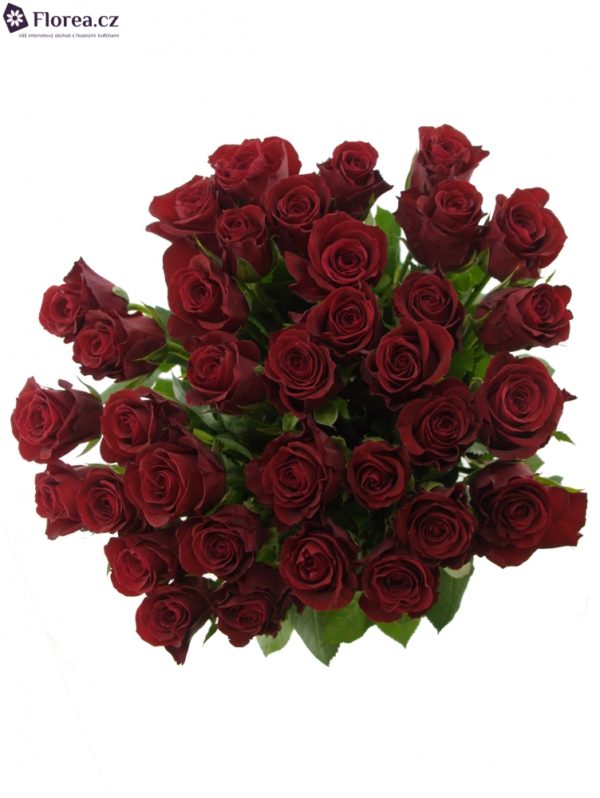 Kytice - Kytice 35 červených růží FURIOSA 50cm