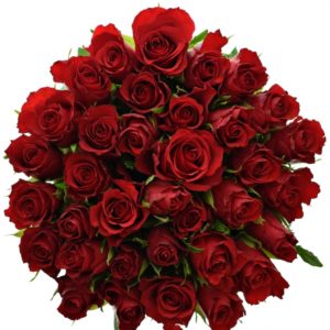Kytice - Kytice 35 červených růží RED CALYPSO 50cm