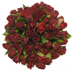 Kytice - Kytice 55 červených růží TORERO 40cm