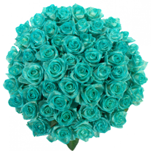 Kytice - Kytice 55 ledově modrých růží ICE BLUE VENDELA 60cm