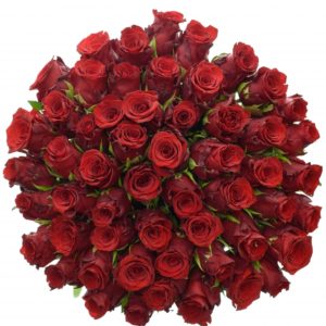 Kytice - Kytice 55 rudých růží INCREDIBLE 50cm