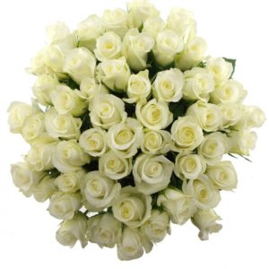 Kytice - Kytice 55 bílých růží AKITO 40cm