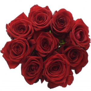 Kytice - Kytice 9 rudých růží RED NAOMI! 50cm