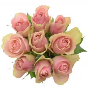 Kytice - Kytice 9 růžových růží BELLE ROSE 50cm