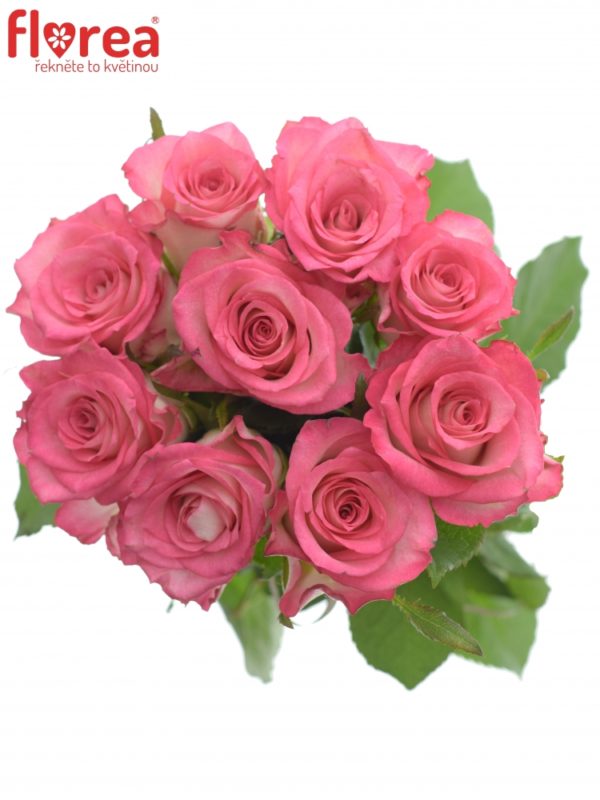 Kytice - Kytice 9 růžových růží ENSEMBLE 60cm